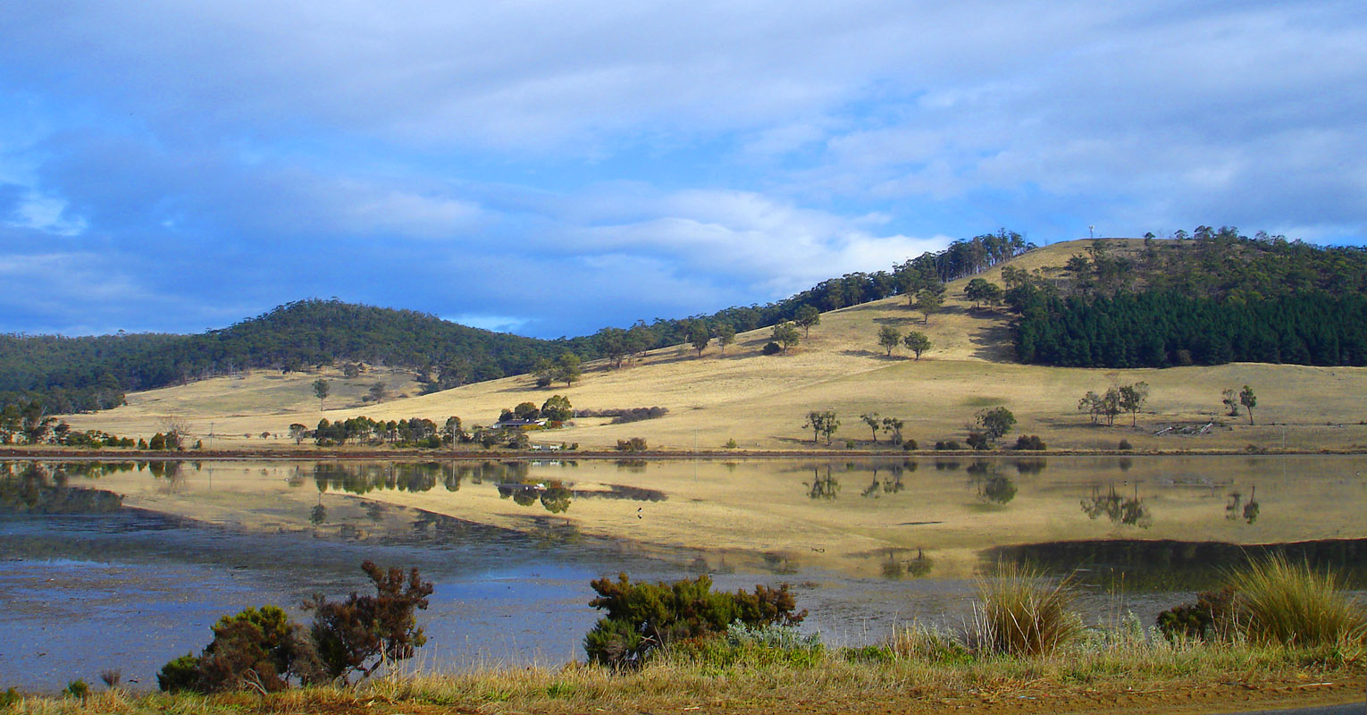 Lauderdale panorama COLUMNS.jpg