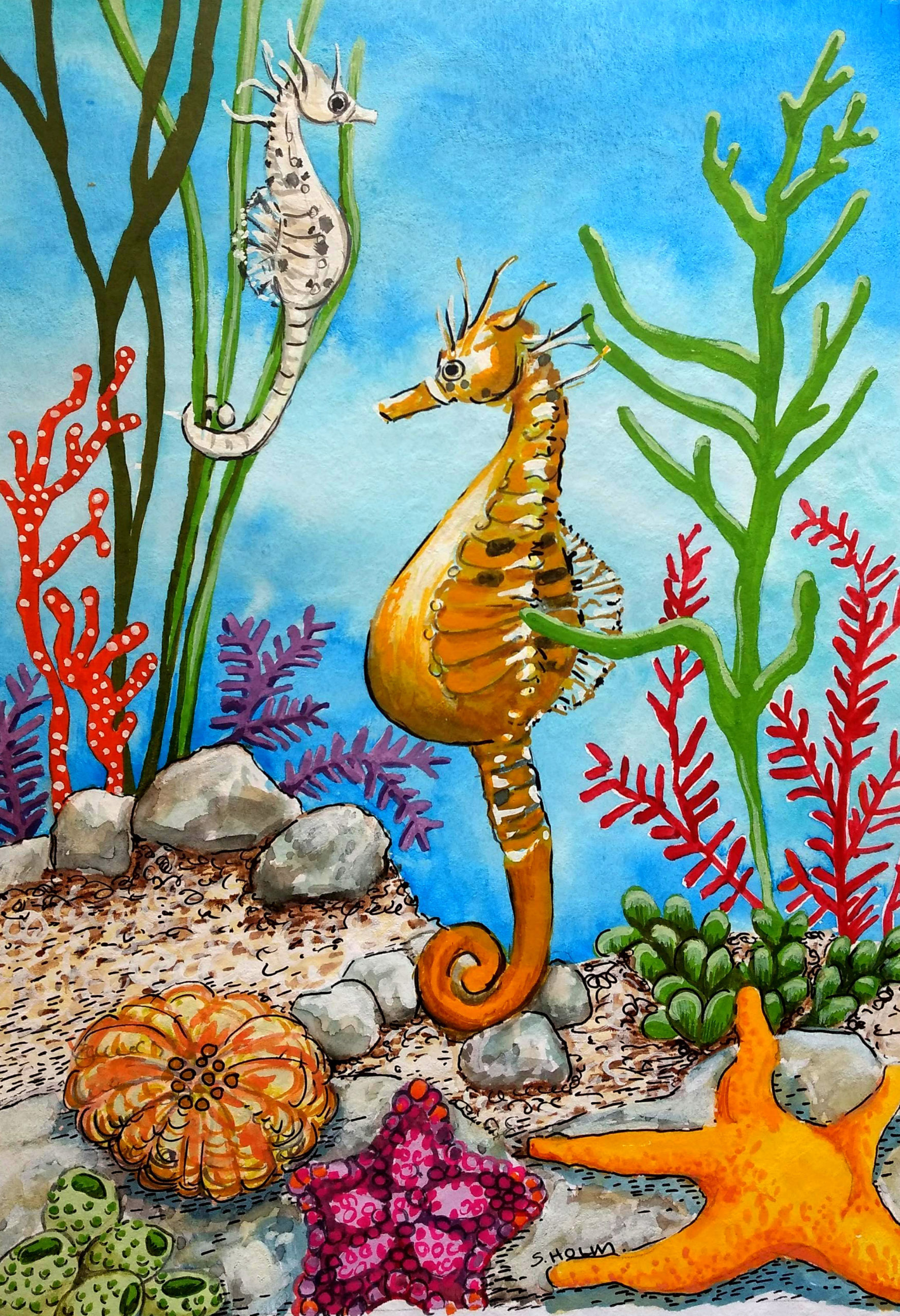 Hess 14603 Puzzle Cavallucci Marini (Seahorses) In Legno, Made In Germany, Design Colorato E Sicuro Per Bambini - 2
